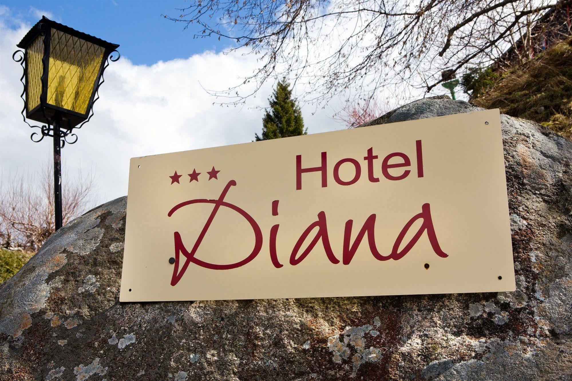 Hotel Diana Feldberg  Exterior photo